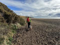Bit of shingle near Brownwich